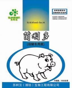 供應微生物飼料添加劑 母豬專用菌助力健康養殖，有效預防便秘